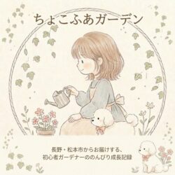 ちょこふあのゆったりのんびりな暮らし