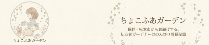 ちょこふあのゆったりのんびりな暮らし